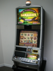 WMS SURVIVOR VIDEO SLOT MACHINE 